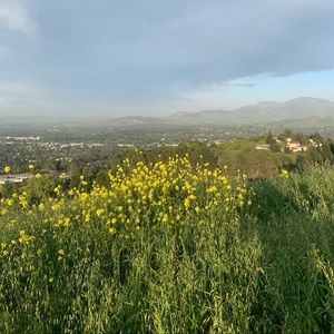 MAKE REASONABLE OFFERS!!